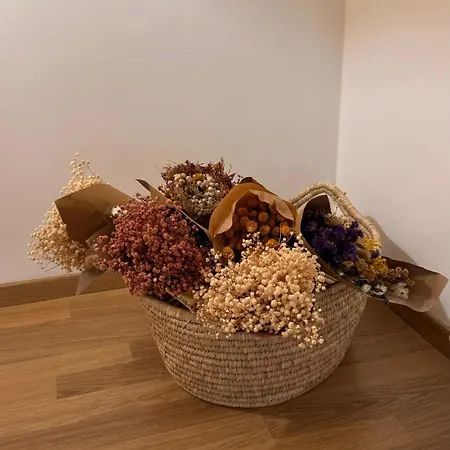 Laus Via Niccolo Putignani Cozy Apartment